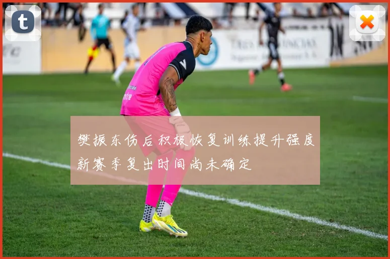 樊振东伤后积极恢复训练提升强度新赛季复出时间尚未确定